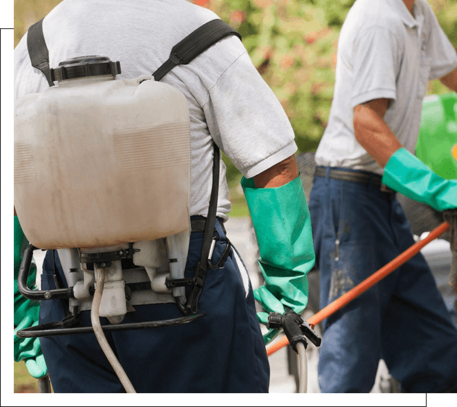 A group of men wearing gloves and holding gardening tools.