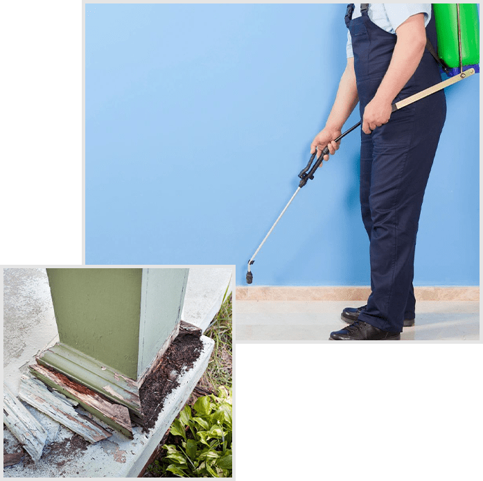 A man with a green backpack holding a spray gun.