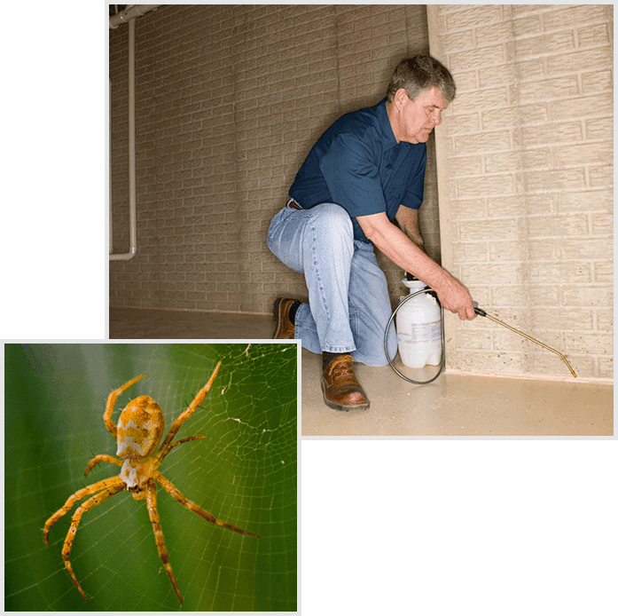 A man is holding a fire extinguisher and a spider